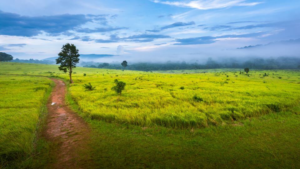 Khao Yai National Park